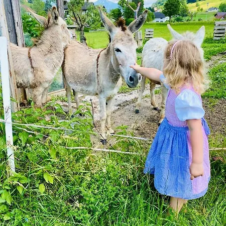 아파트 Brunnkogelblick *