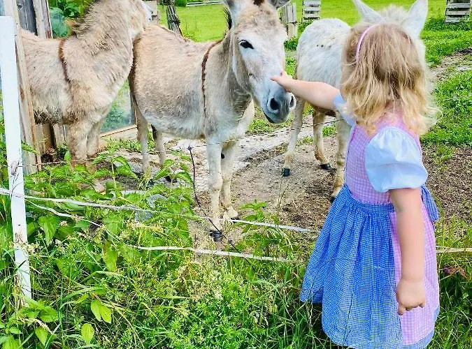 Διαμέρισμα Brunnkogelblick *